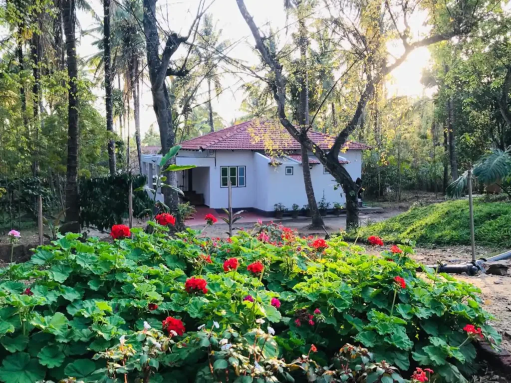 Taimane Homestay and Farms