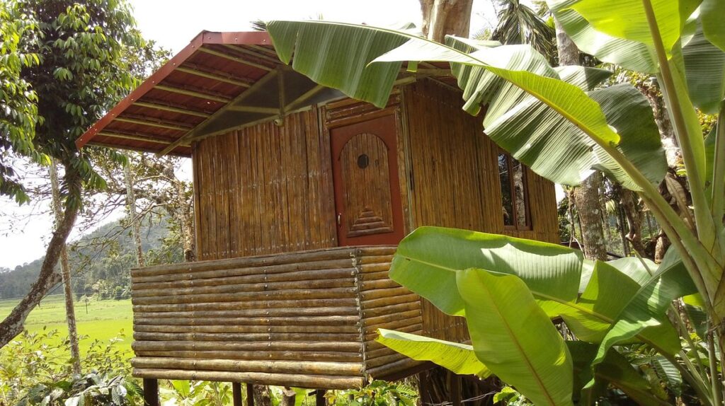 The Bliss Coorg homestay